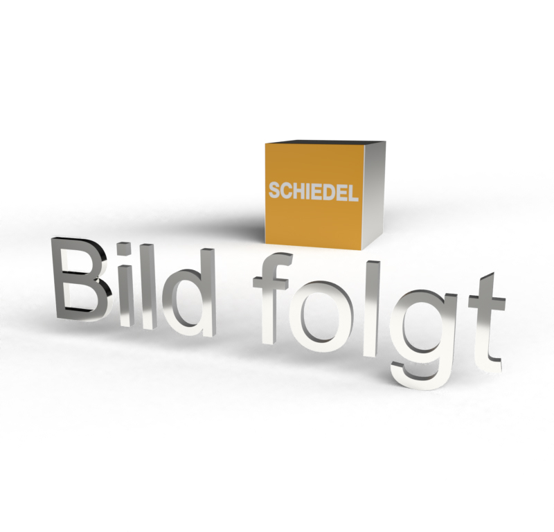 Schiedel Anschluss�bergang ADW Tecnostar auf ICS DN 200mm